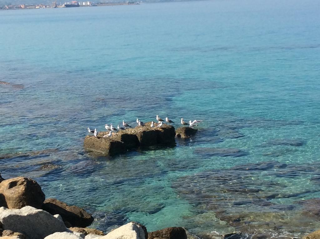 Marina Holiday Home Pizzo (Calabria) Exterior foto